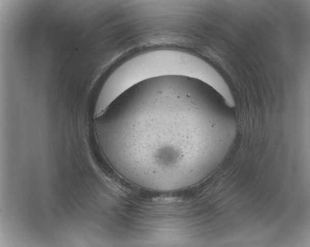 X0000063510448200602101930