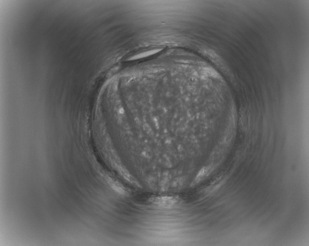 X0000063510449200602101930