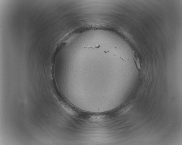 X0000063510450200602101930