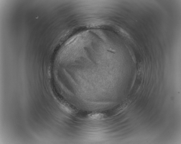 X0000063510452200602101930