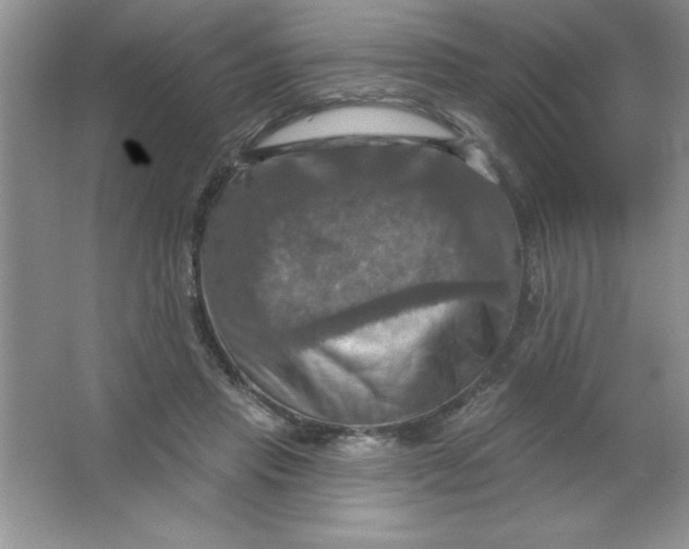 X0000063510453200602101930