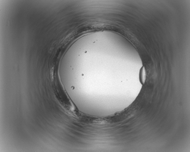 X0000063510454200602101930