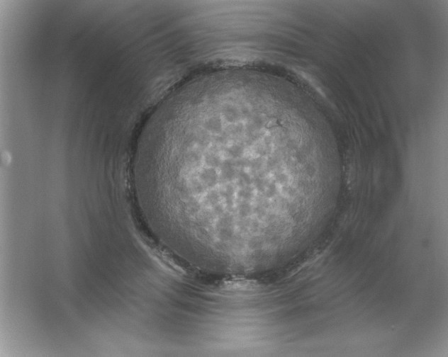 X0000063510455200602101930