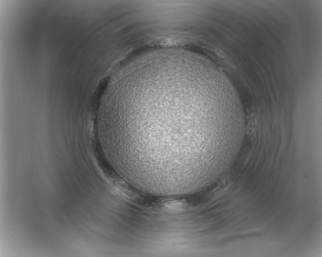 X0000063510456200602101930