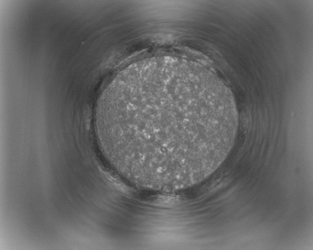 X0000063510458200602101930