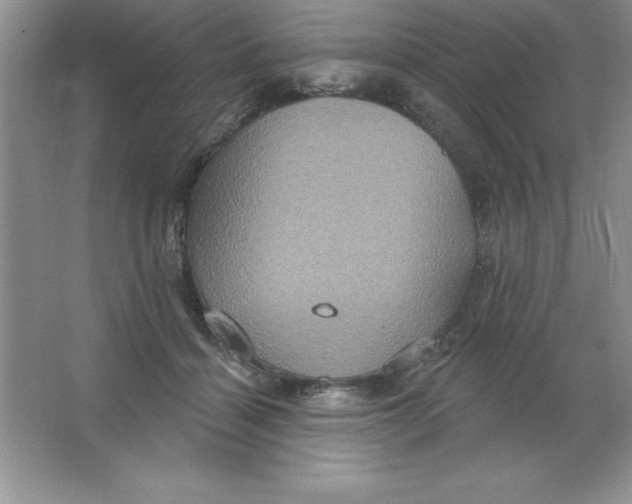 X0000063510460200602101930