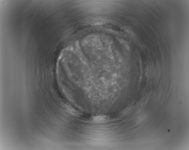 X0000063510461200602101930