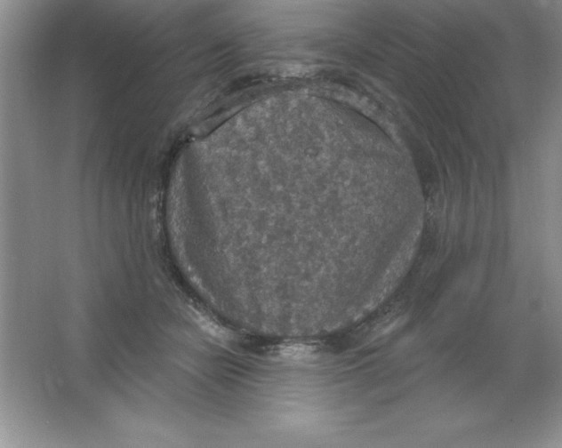 X0000063510462200602101930