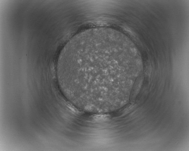 X0000063510465200602101930