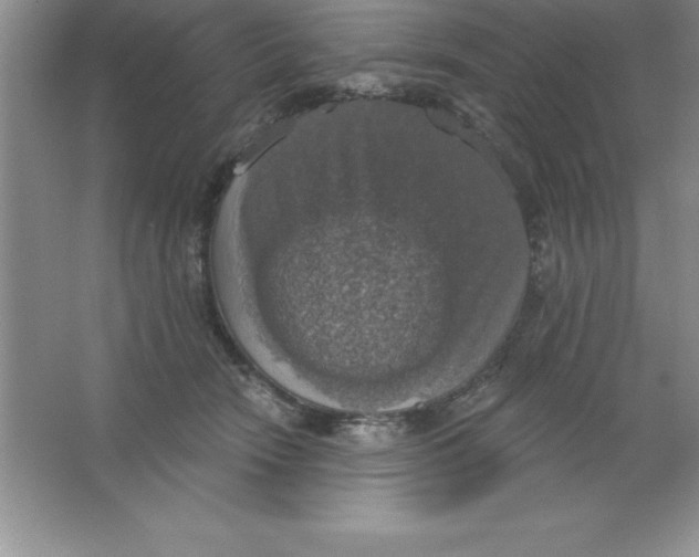 X0000063510466200602101930