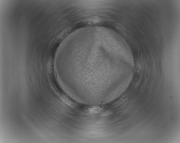 X0000063510468200602101930