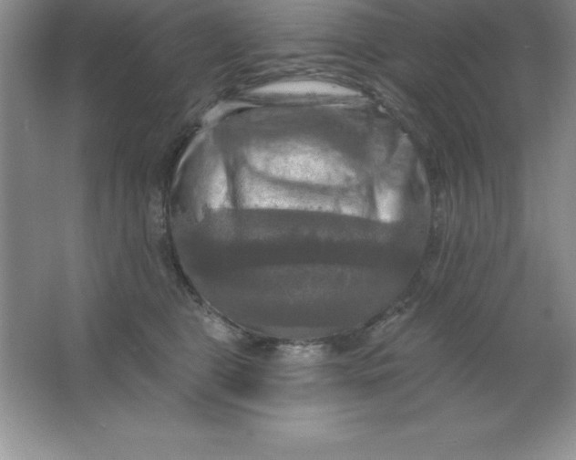 X0000063510469200602101930