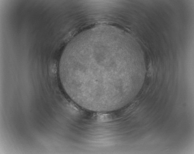 X0000063510472200602101930