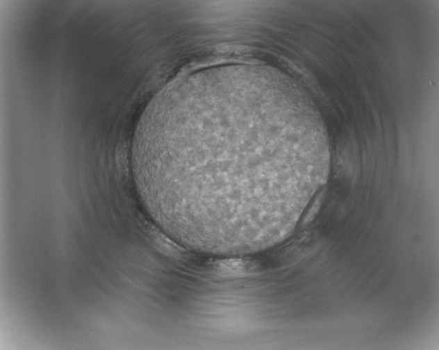 X0000063510473200602101930