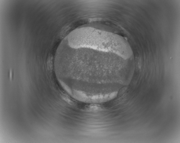 X0000063510475200602101930