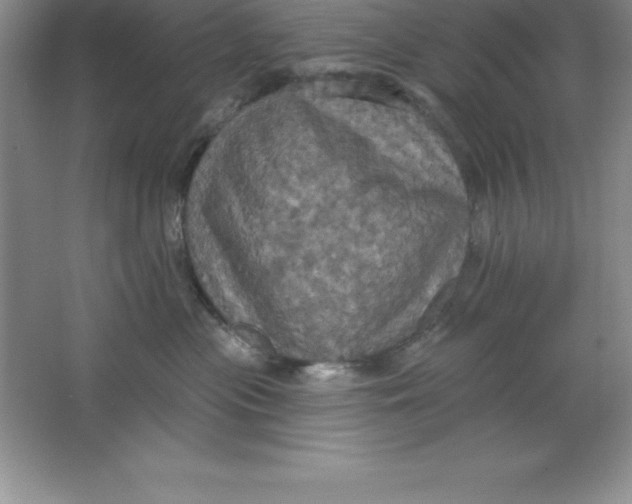 X0000063510477200602101930