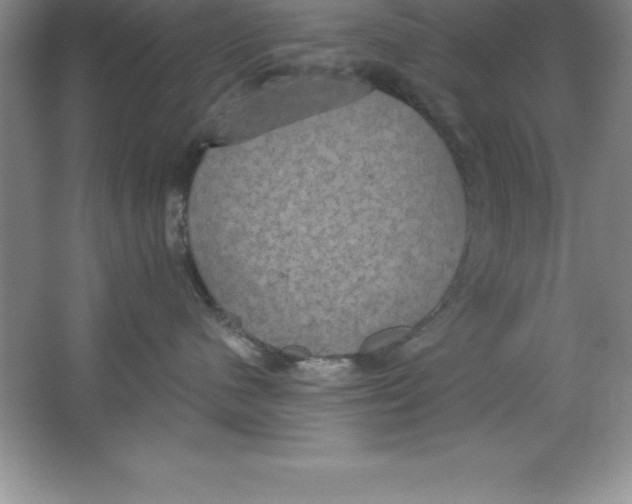 X0000063510480200602101930