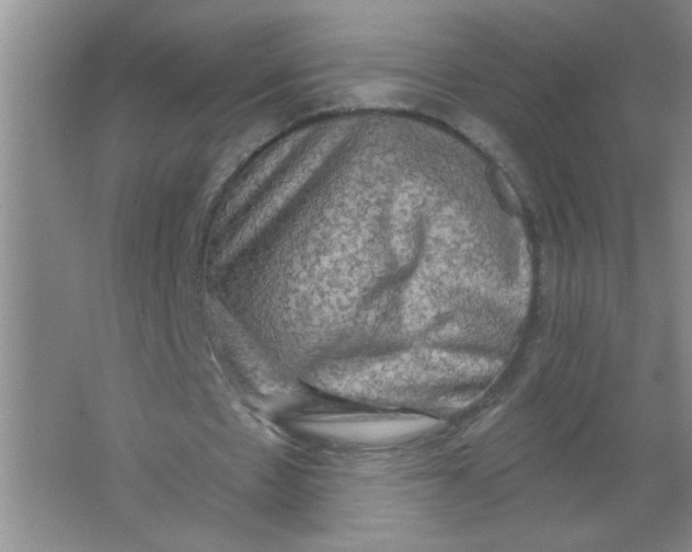 X0000063510481200602101929