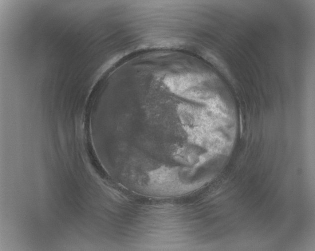 X0000063510483200602101929