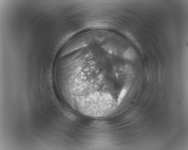 X0000063510487200602101929