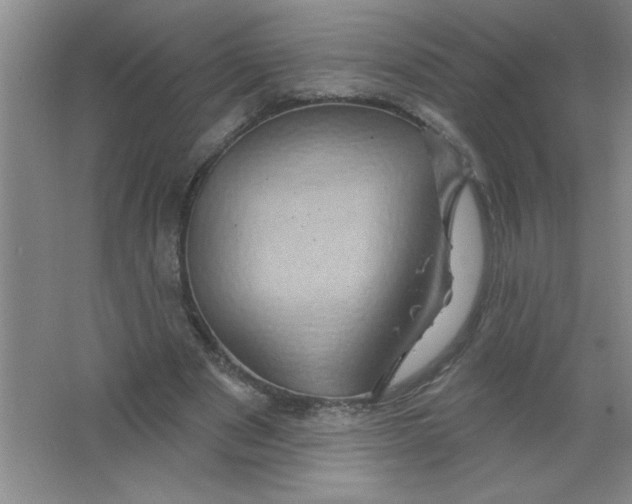 X0000063510489200602101929