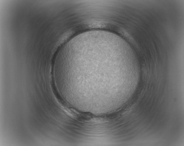 X0000063510490200602101929