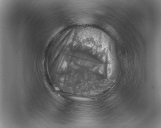 X0000063510491200602101929