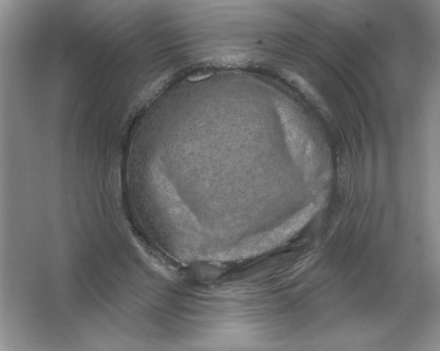 X0000063510493200602101929