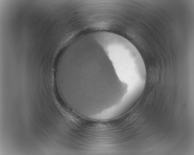 X0000063510494200602101929