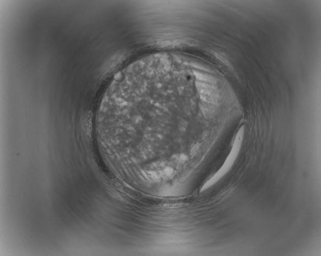 X0000063510495200602101929