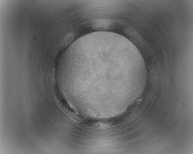 X0000063510498200602101929