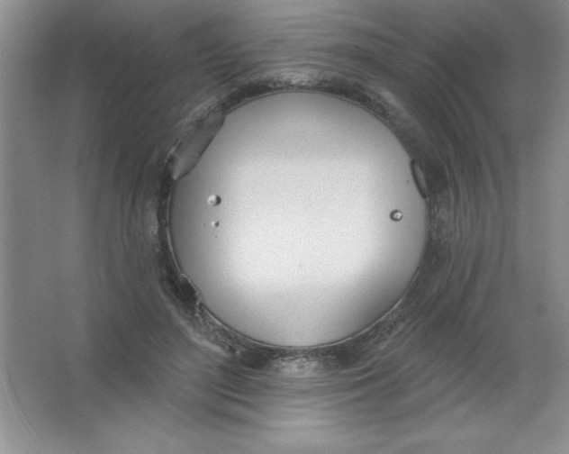 X0000063510500200602101929