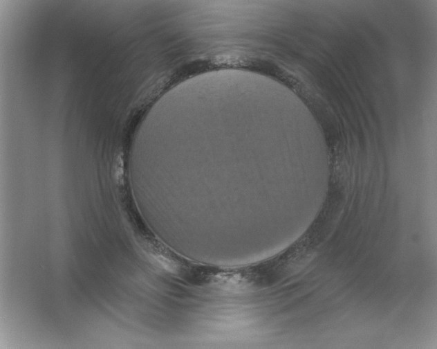 X0000063510502200602101929