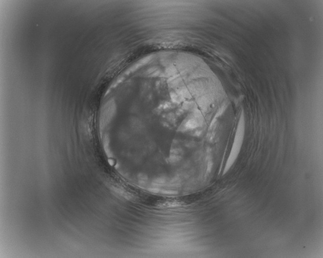 X0000063510503200602101929