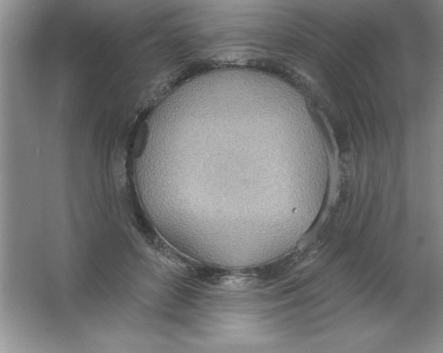 X0000063510504200602101929