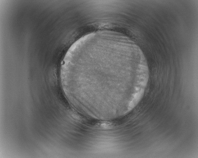 X0000063510506200602101929