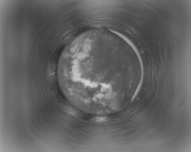 X0000063510507200602101929