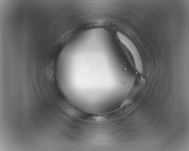 X0000063510509200602101929