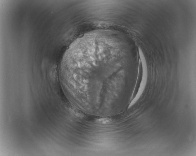 X0000063510511200602101929