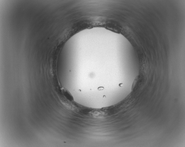 X0000063510512200602101929