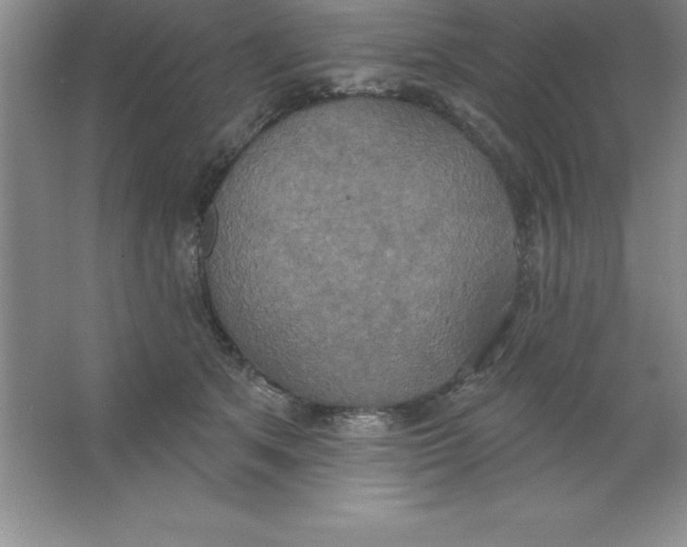 X0000063510513200602101929