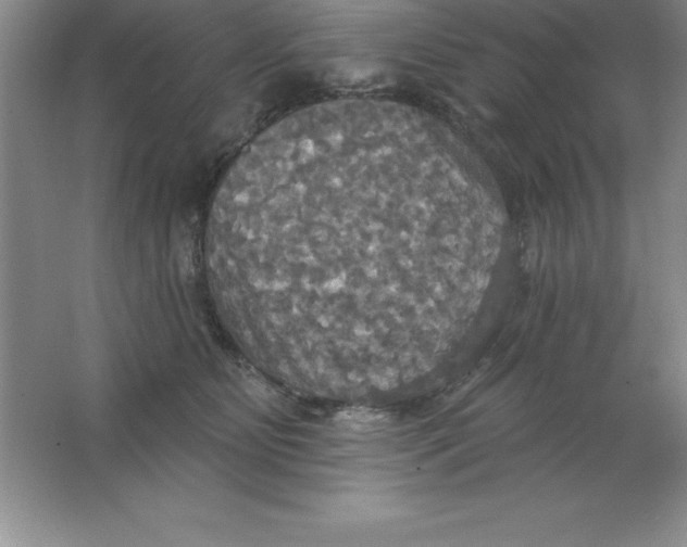 X0000063510515200602101929