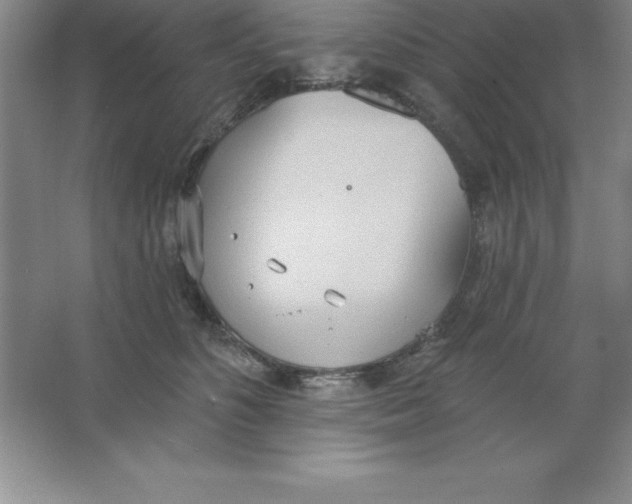 X0000063510516200602101929