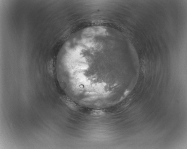 X0000063510519200602101929