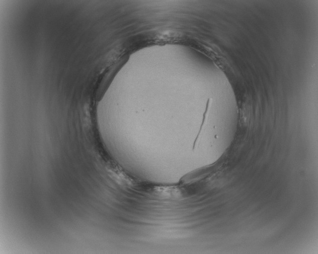 X0000063510520200602101929