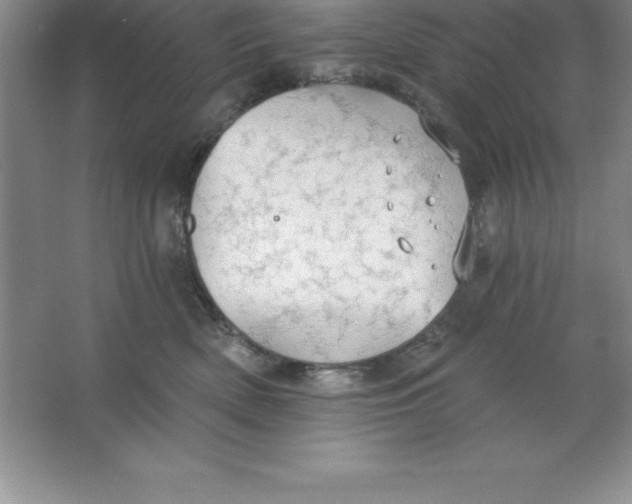 X0000063510522200602101929