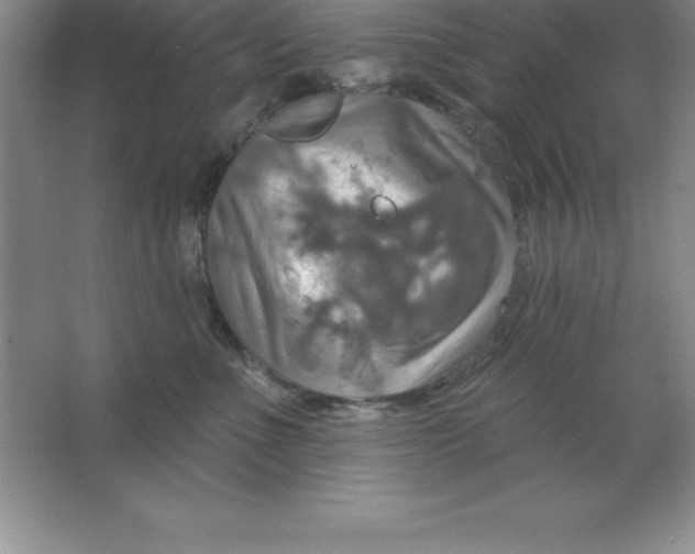 X0000063510523200602101929