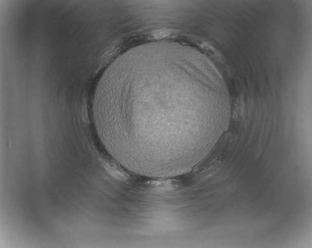 X0000063510524200602101929