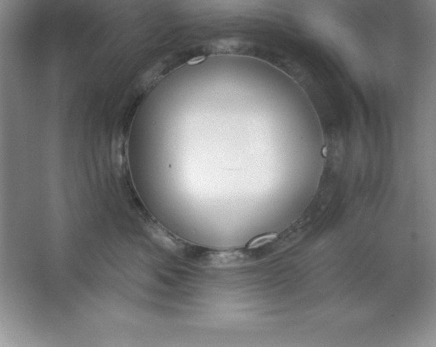 X0000063510525200602101929