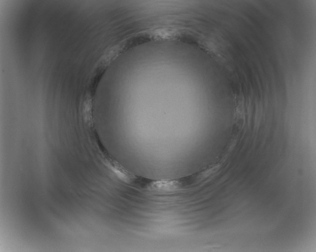 X0000063510526200602101929